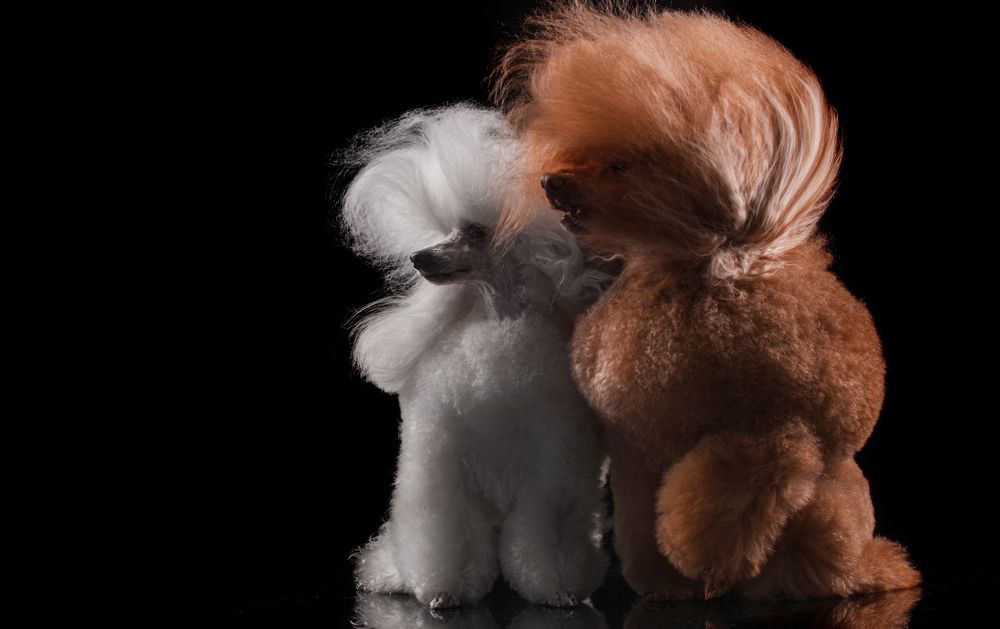 Фотография автора Katerina Mumzhinskaya