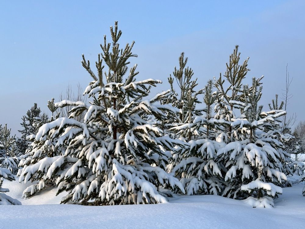 Photograph by Полина Самойлова