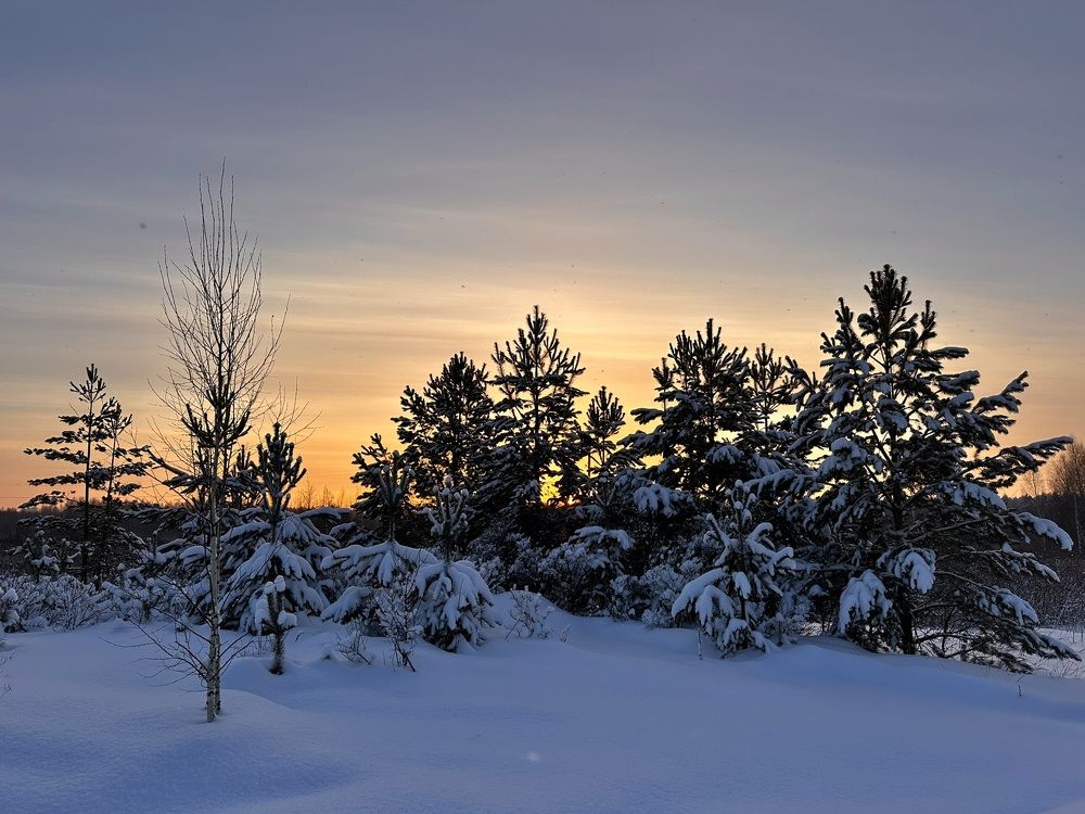 Photograph by Полина Самойлова