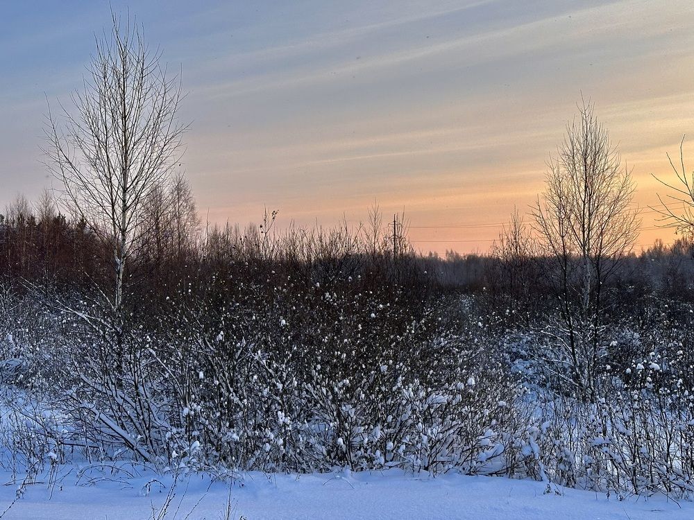 Photograph by Полина Самойлова