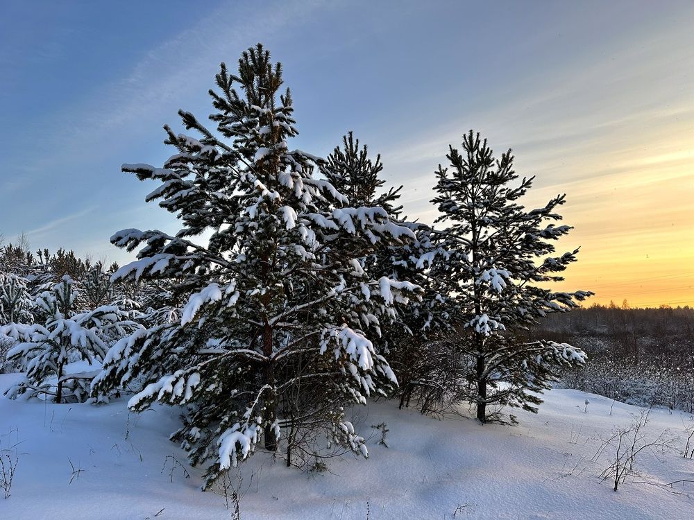 Photograph by Полина Самойлова