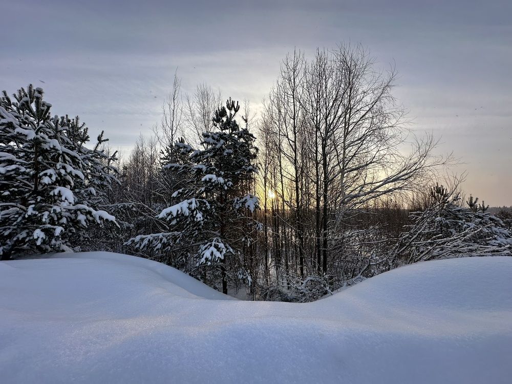 Photograph by Полина Самойлова