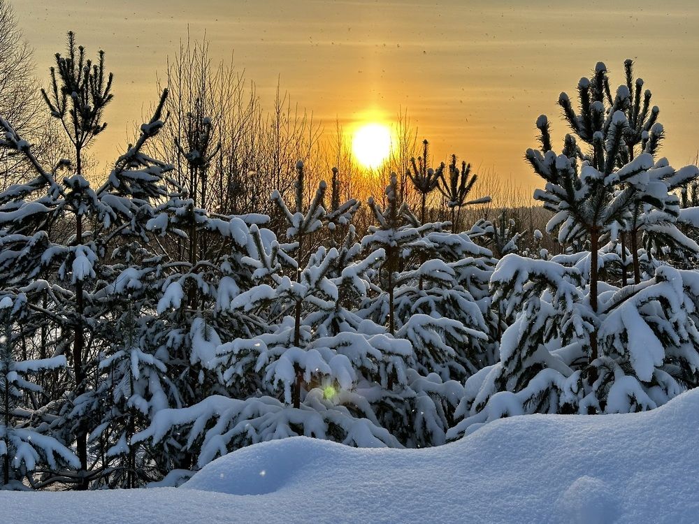 Photograph by Полина Самойлова