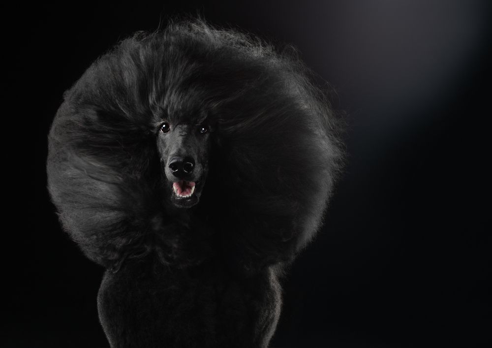 Фотография автора Katerina Mumzhinskaya