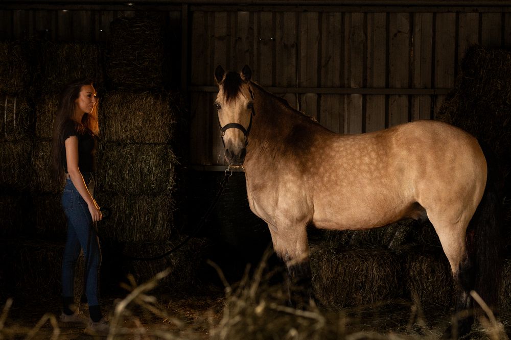 Фотография автора Talal Abodeshish