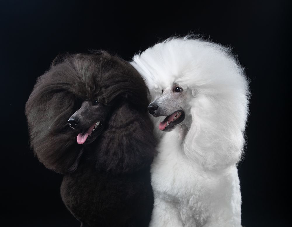 Фотография автора Katerina Mumzhinskaya