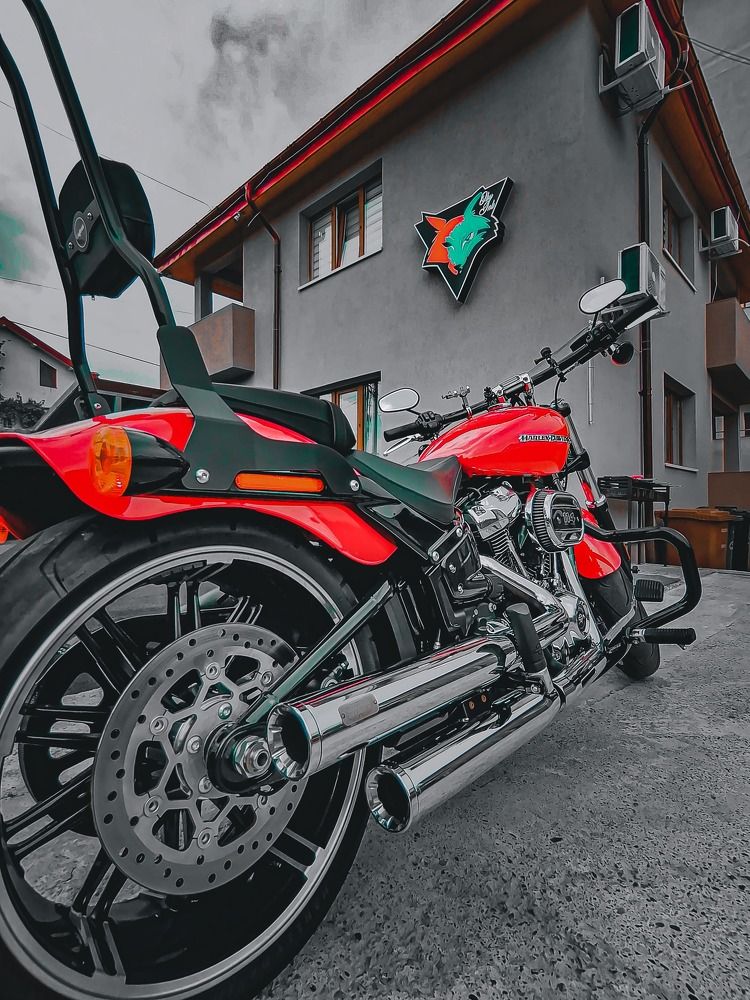 Photograph by Bogdan Dumitru