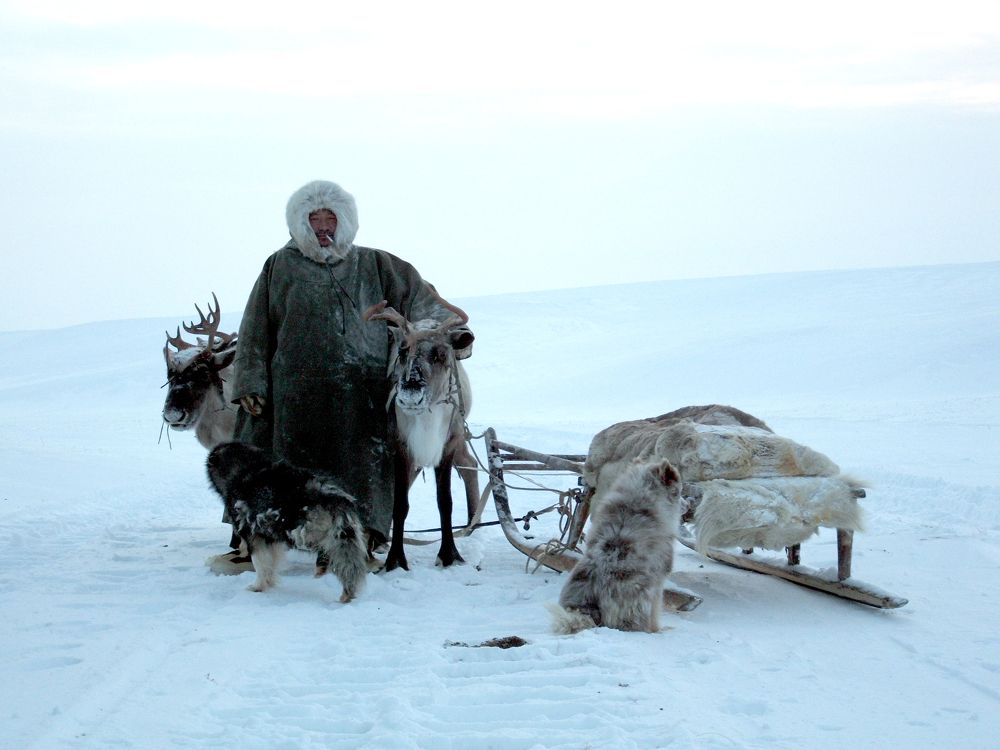 Photograph by Сергей Пузырев