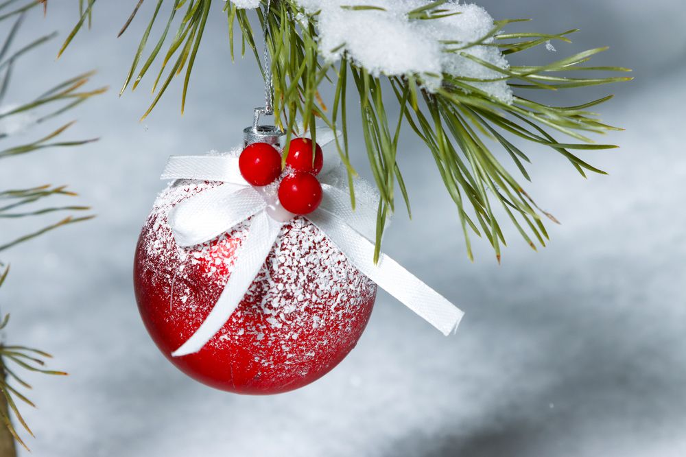 Photograph by Sergei Paramonov