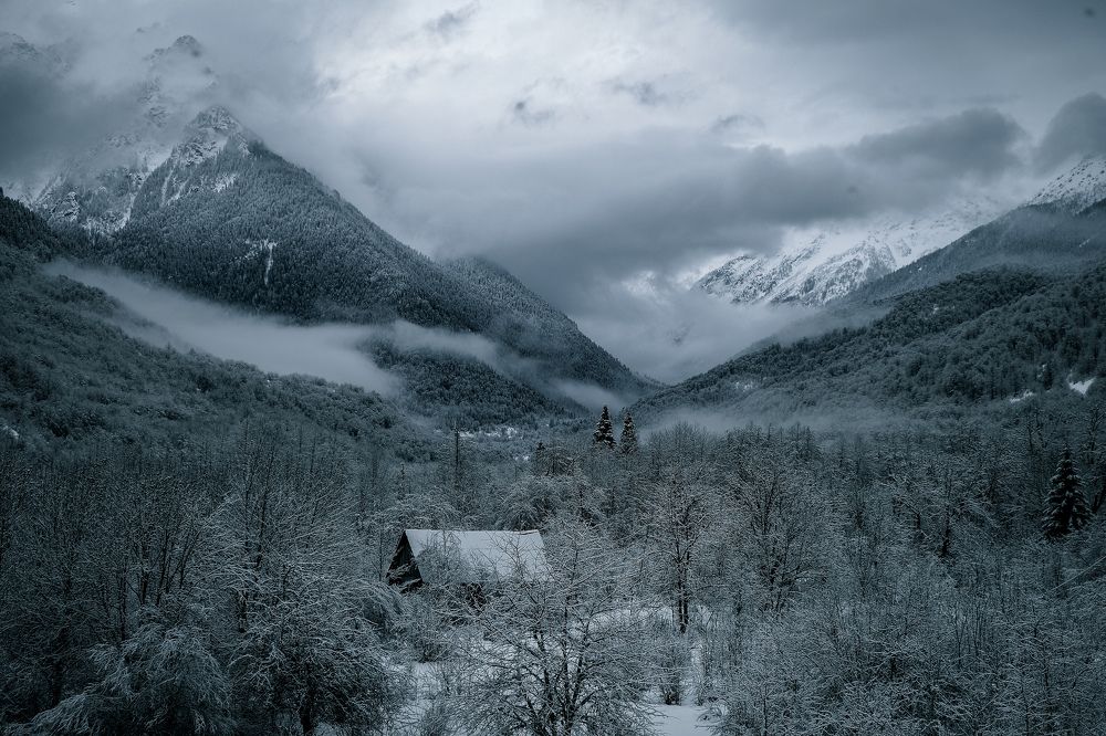 Photograph by Алеся Сафарова