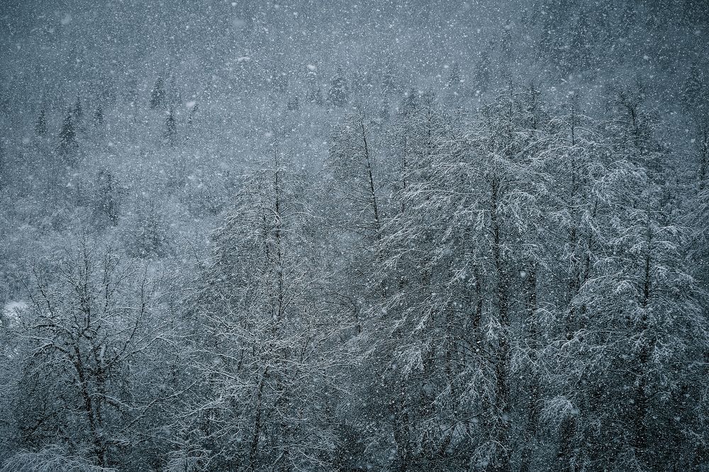 Photograph by Алеся Сафарова