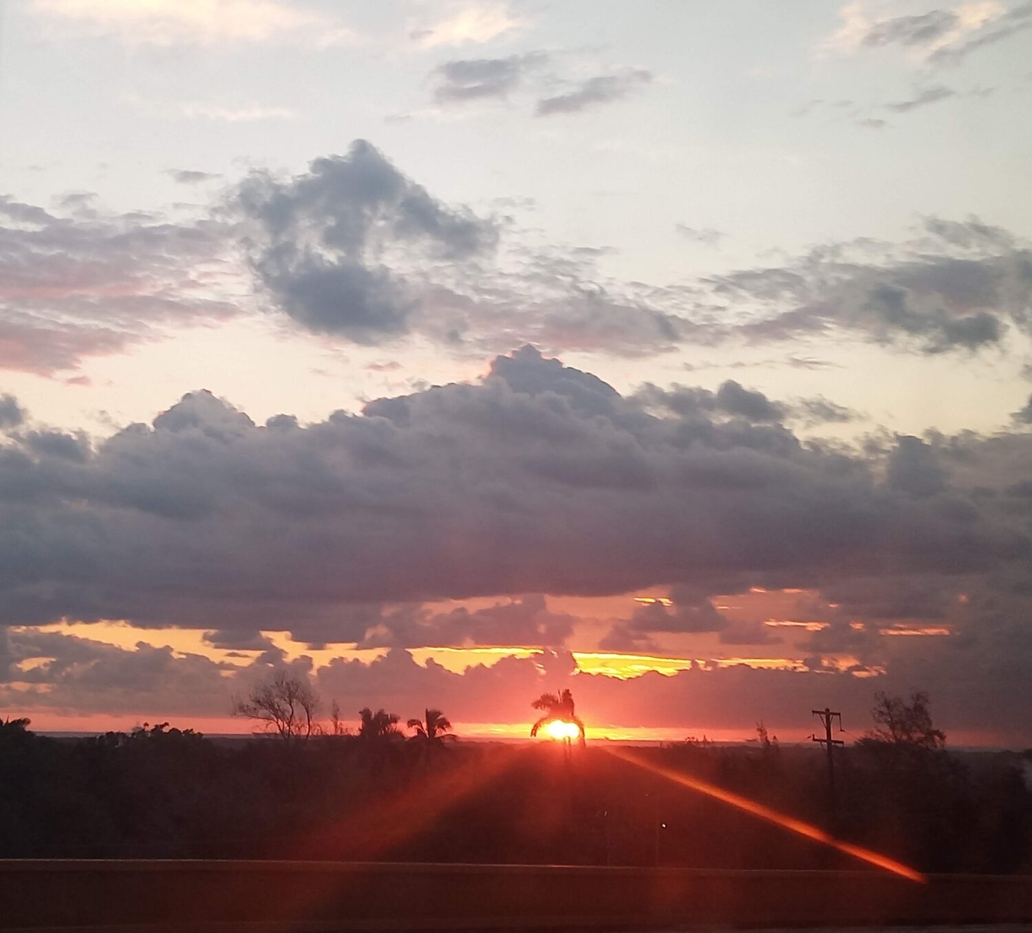 Photo #10088768