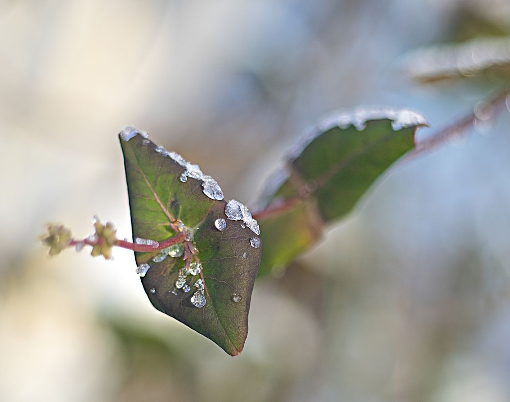 Photograph by Игорь Зиновьев