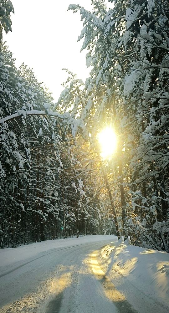 Photograph by Александр Герасимов