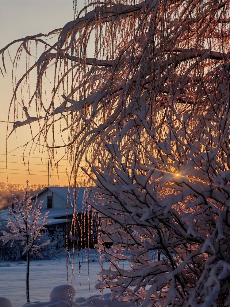 Photograph by Полина Мальцева