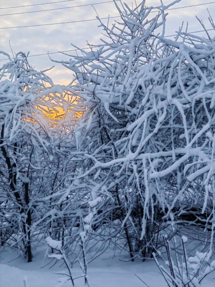 Photograph by Полина Мальцева