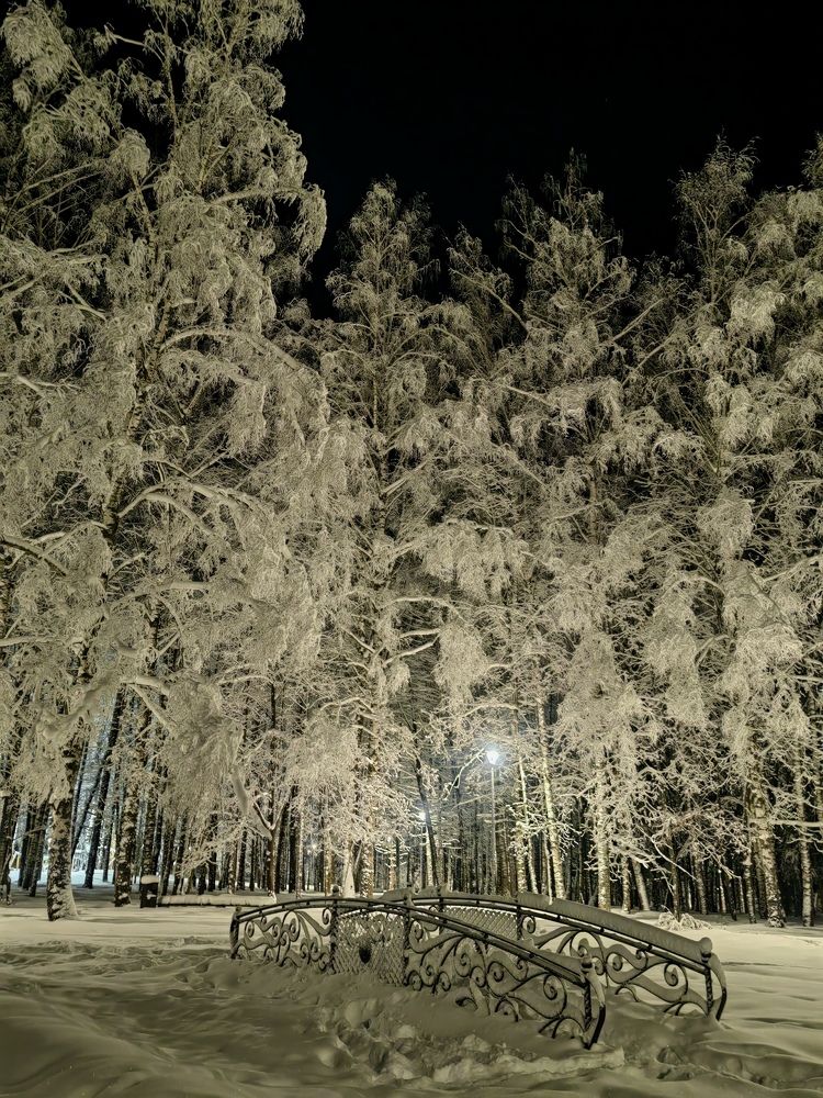 Photograph by Полина Мальцева