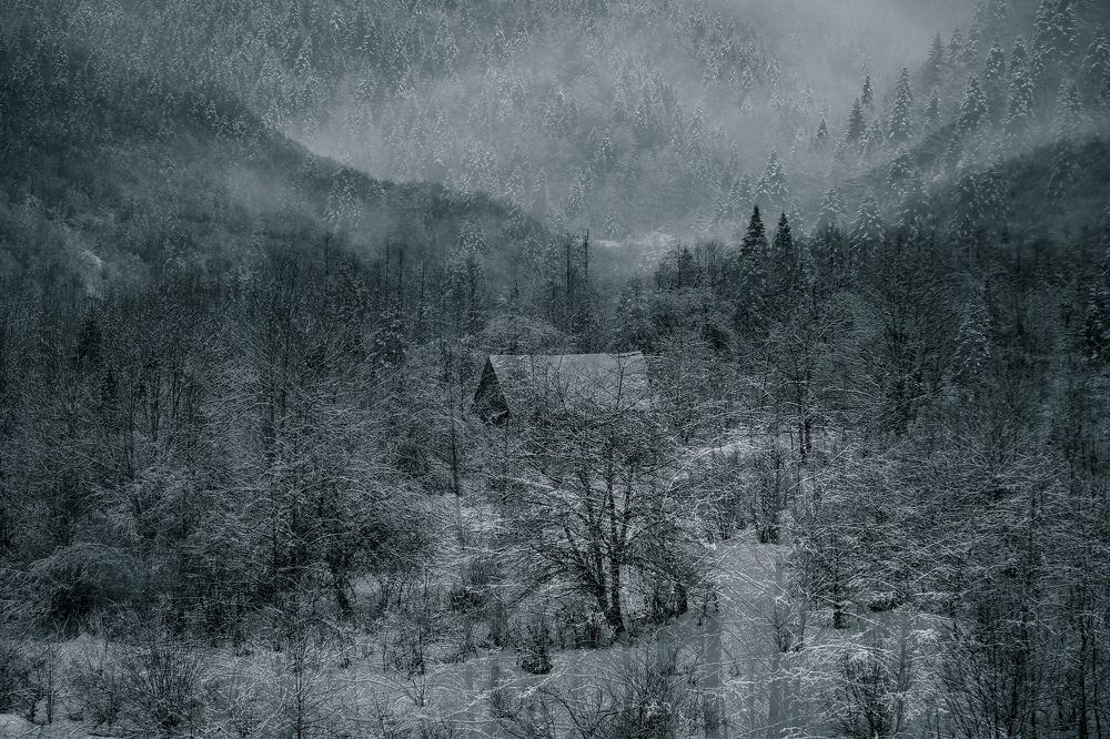 Photograph by Алеся Сафарова