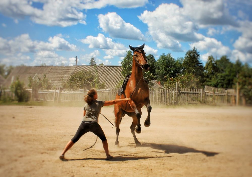 Photograph by Мария Андреева