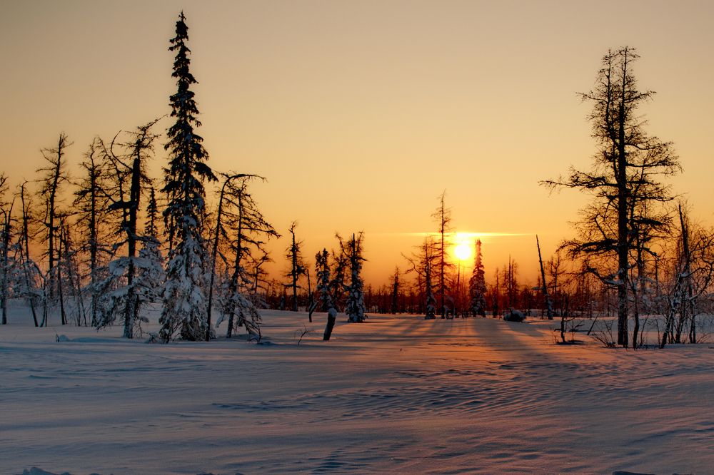 Photograph by Сергей Пузырев