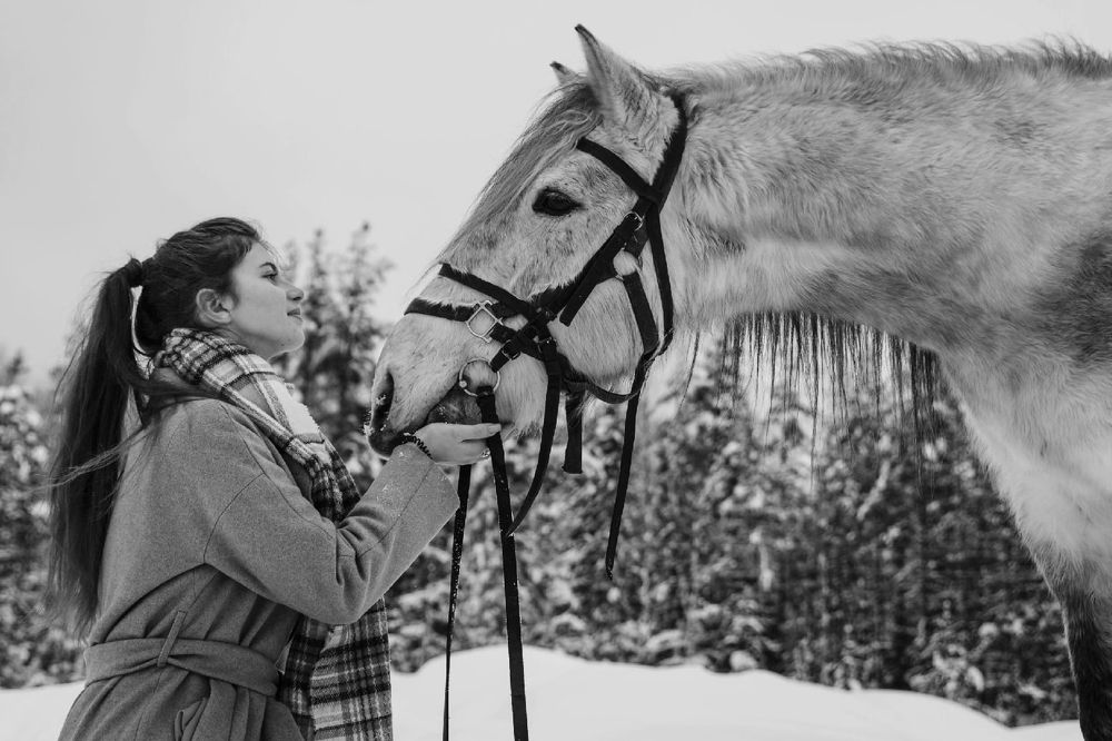 Photograph by Сергей Комаров