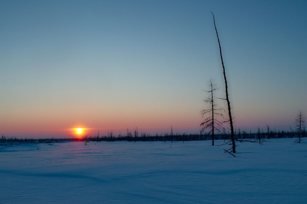 Photograph by Сергей Пузырев