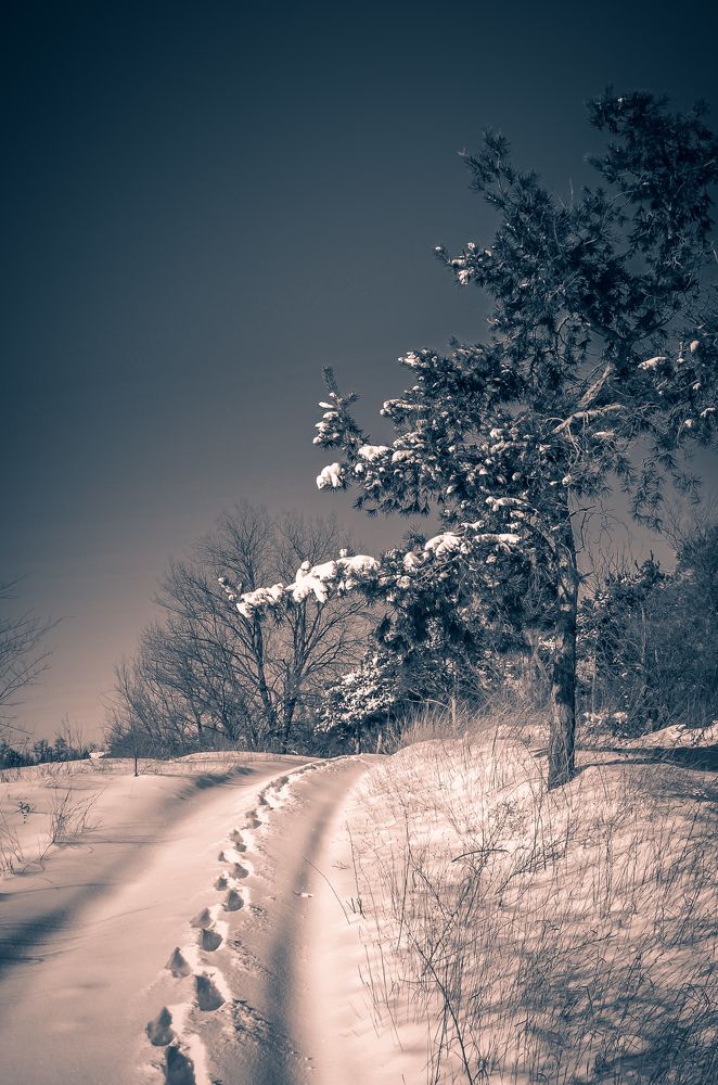 Фотография автора Наталья Алексеева