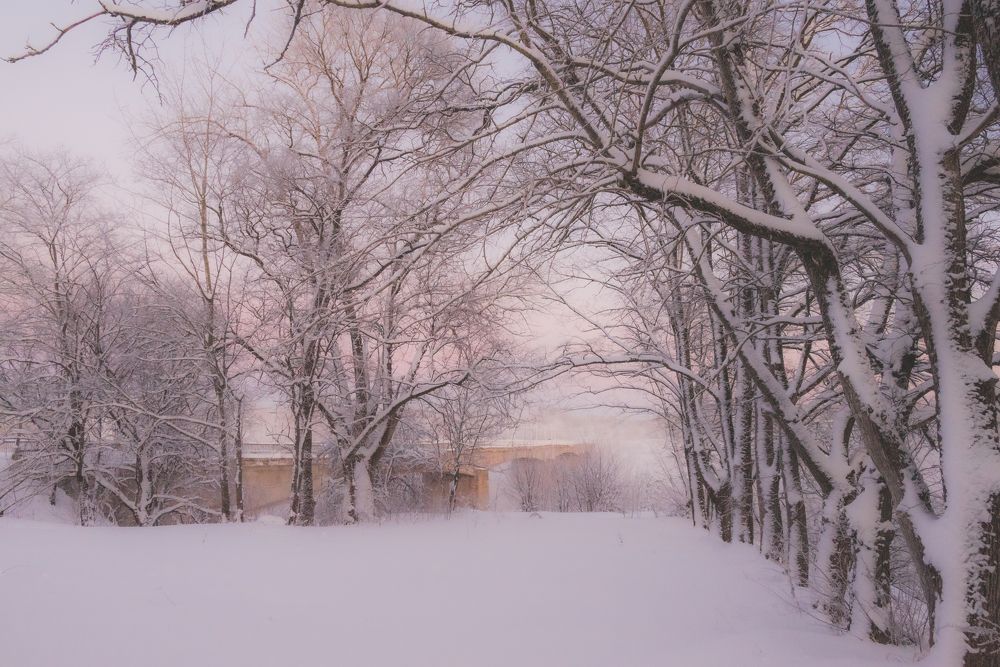 Photograph by Марина Попова