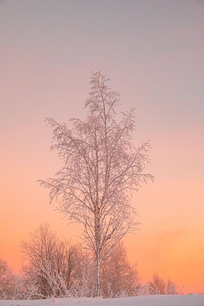 Photograph by Марина Попова