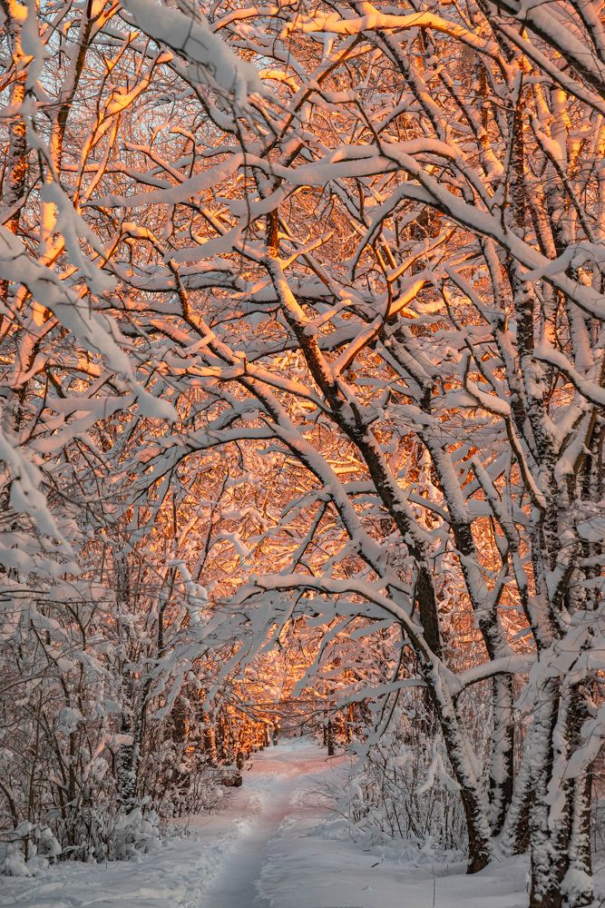 Photograph by Марина Попова