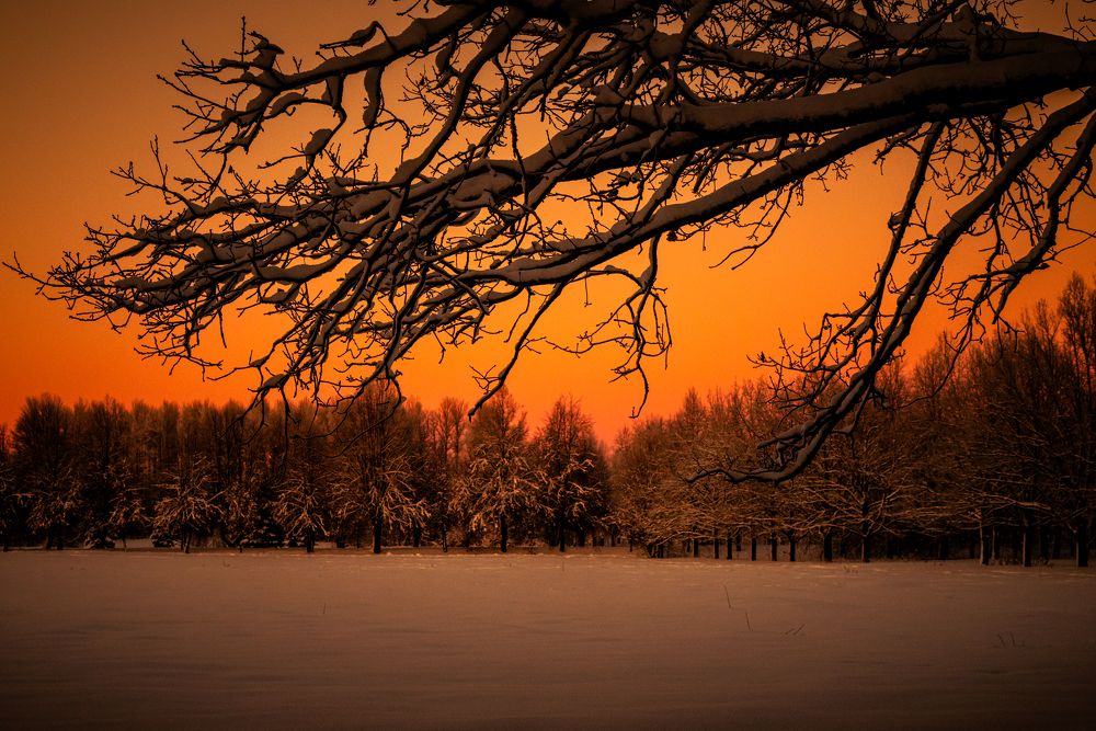 Photograph by Марина Попова