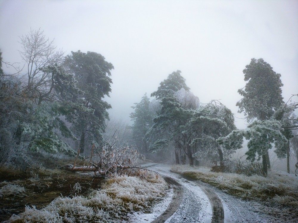 Photograph by Вадим Карпов