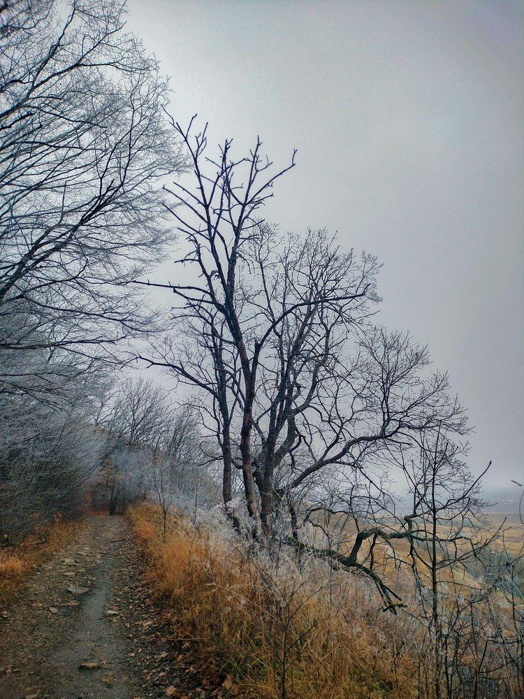 Photograph by Вадим Карпов