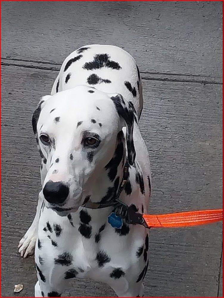 Photograph by Paul Walker