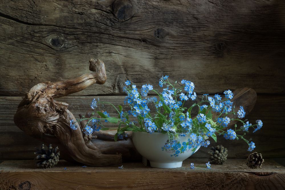 Синева незабудок