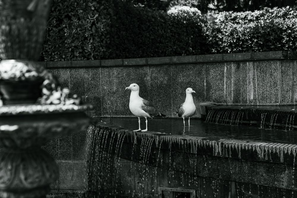Photograph by Геннадий Дежников