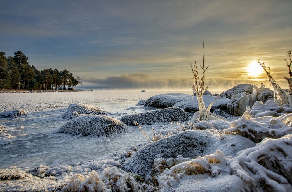 Photograph by Игорь Шишпанов