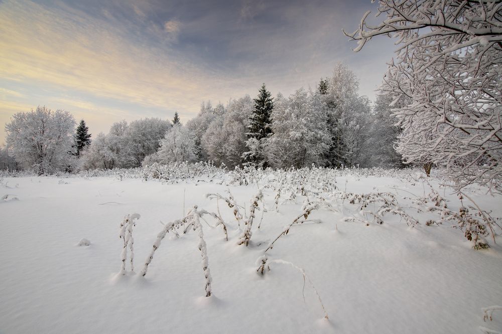 Photograph by Игорь Шишпанов