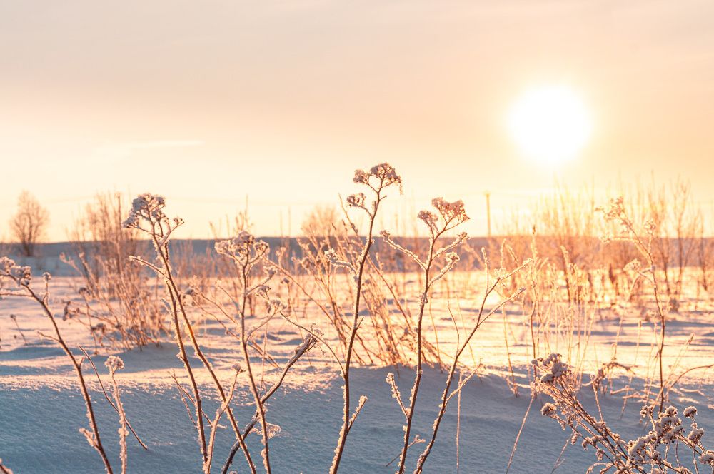 Photograph by Логинова Светлана