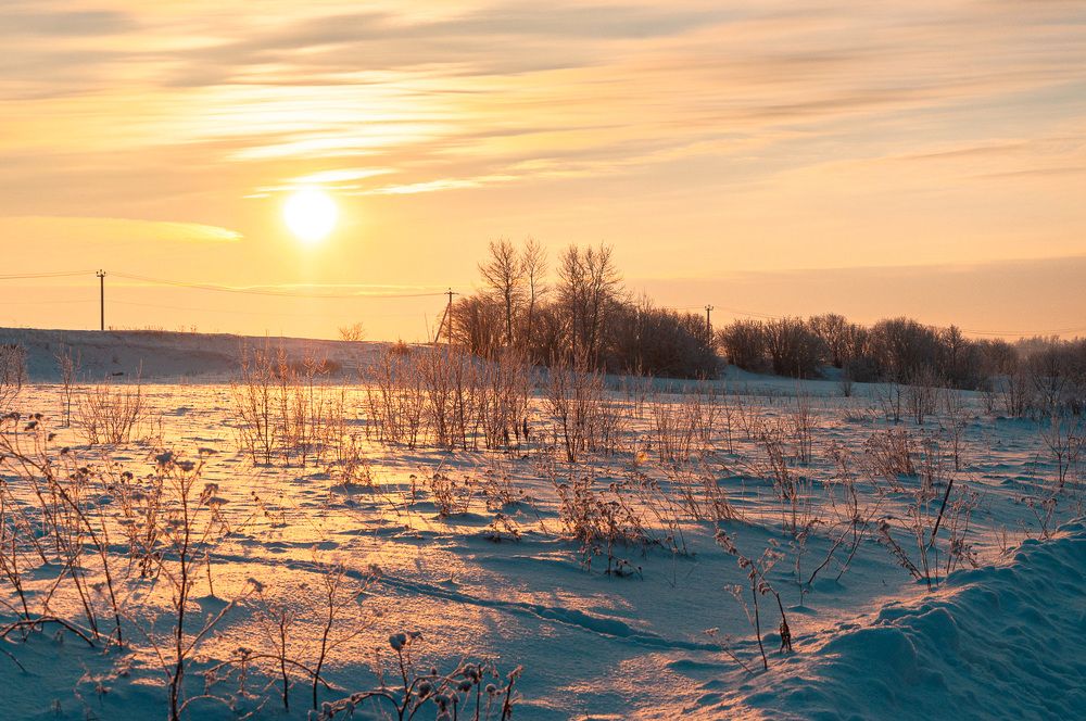 Photograph by Логинова Светлана