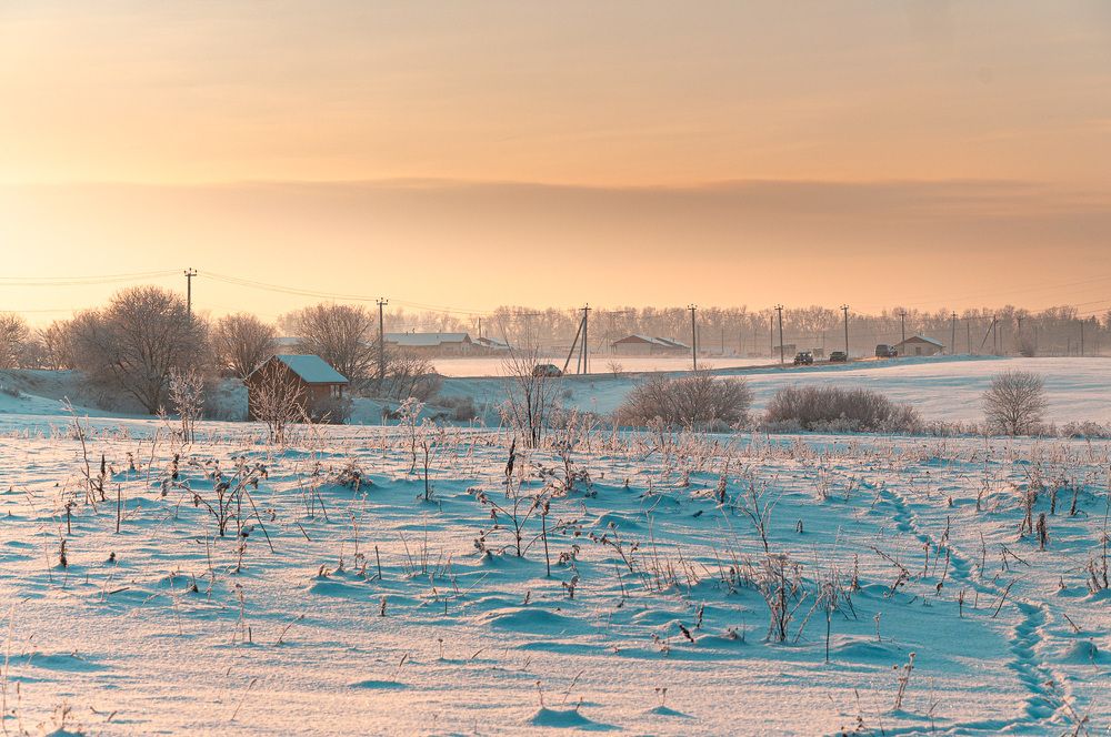 Photograph by Логинова Светлана