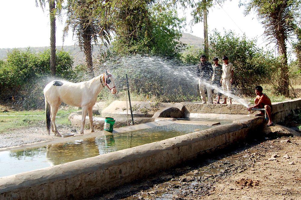 Photograph by DILIP BHALERAO