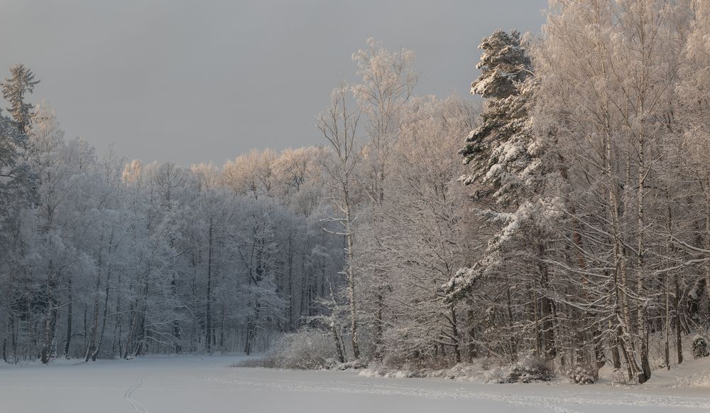 Photograph by Криволуцкий Вячеслав