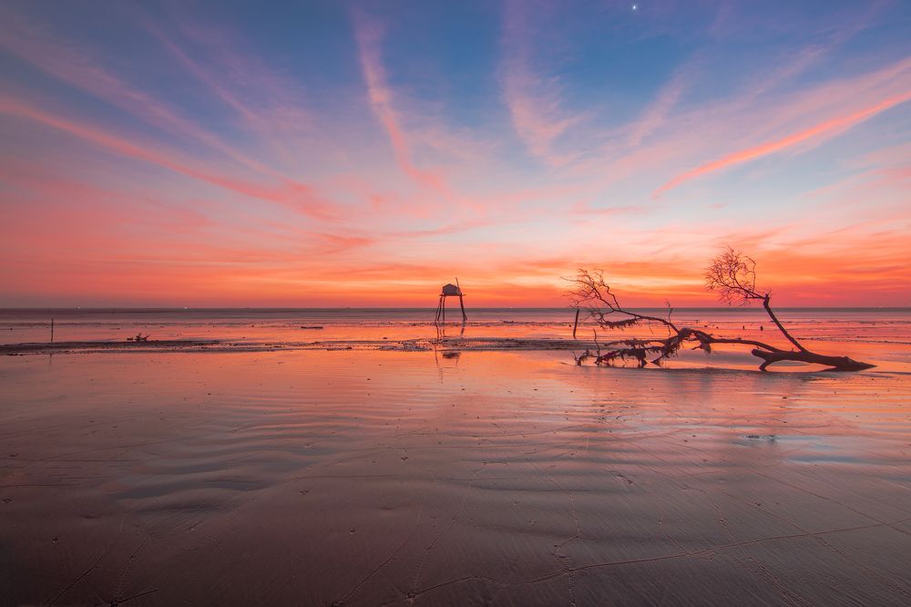 Фотография автора QUANG THOI HUA