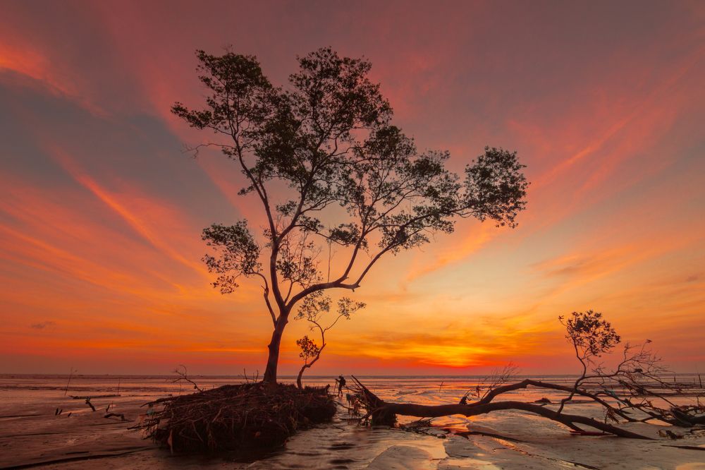 Photograph by QUANG THOI HUA