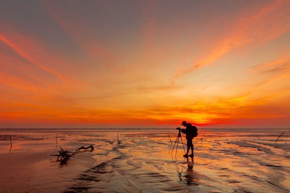 Фотография автора QUANG THOI HUA