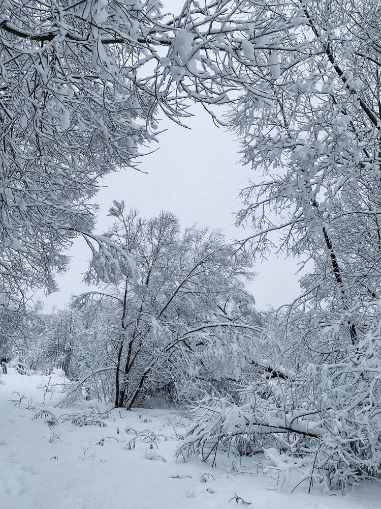 Пушистый и легкий