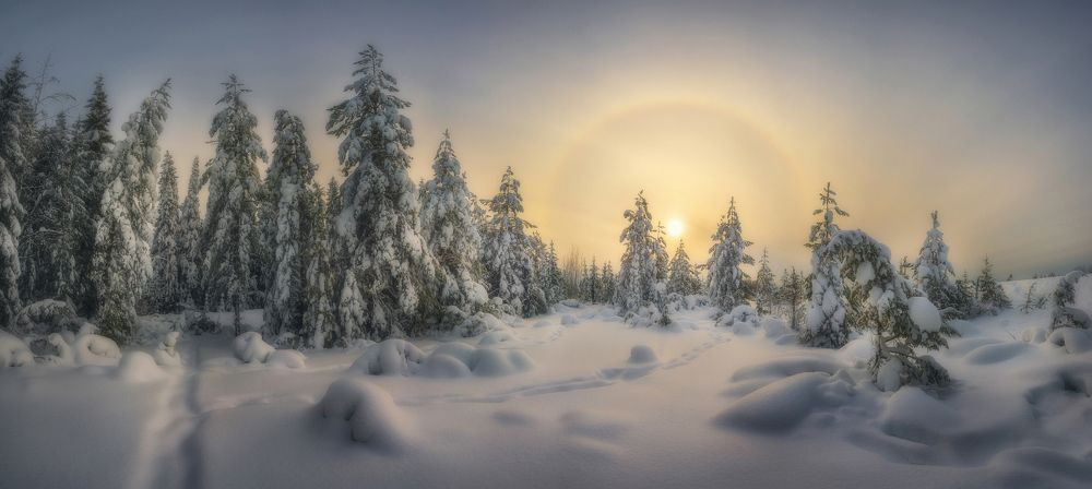 Photograph by  Михаил