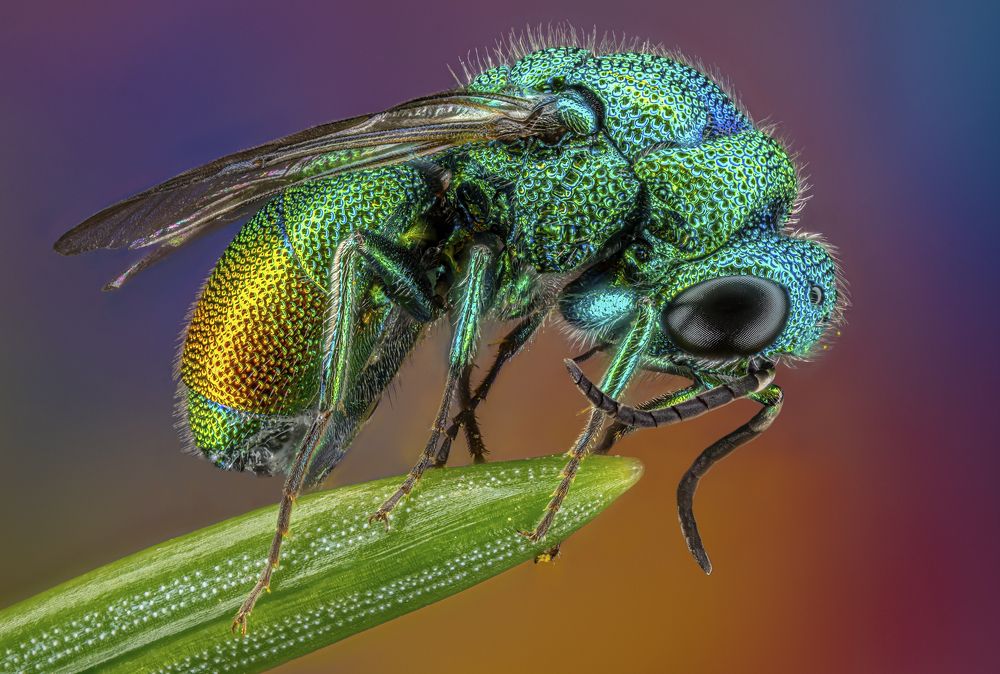 Photograph by Сергей Солобчук