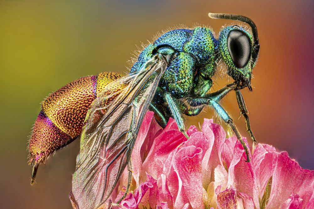 Photograph by Сергей Солобчук